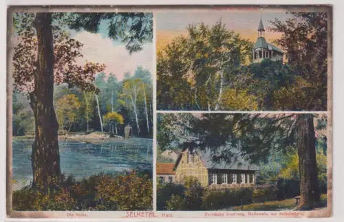 11004 Mehrbild  Ak Selketal. Harz. um 1930