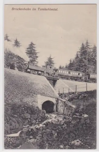 39887 Ak Brockenbahn im Tumkuhlental um 1920