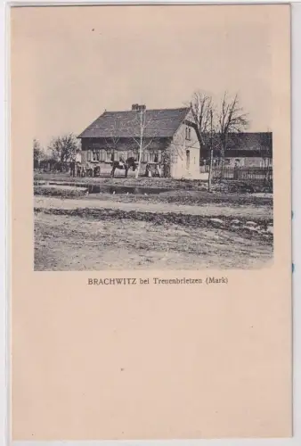 53870 Ak Brachwitz bei Treuenbrietzen (Mark) um 1910