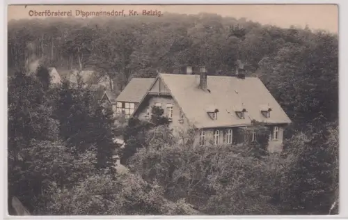 14857 Ak  Oberförsterei Dippmannsdorf, Kr. Belzig. 1917