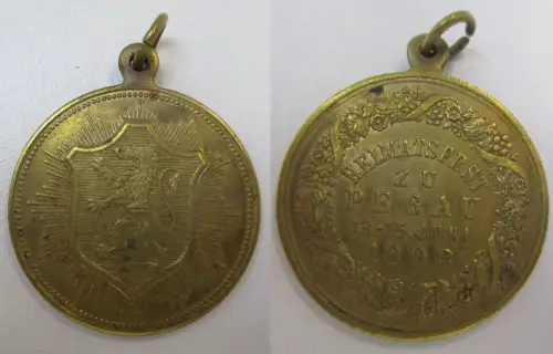 seltene Medaille Heimatfest zu Pegau 13.-15. Juni 1908, Stadtwappen (159252)