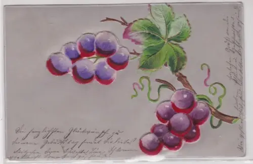 909068 geprägte Künstler Ak rankende Weintraubenrebe 1906