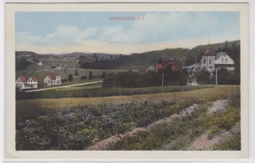 907484 Ak Gasthaus und Sommerfrische Vogelsgrün bei Auerbach im Vogtl. 1963