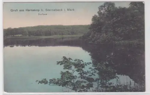 15041 Feldpost Ak Gruß aus Harnekop b. Sternebeck i. Mark. Dorfsee. 1918