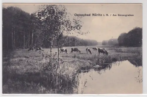 909504 Ak  Ostseebad Müritz 1. M. Am Stromgraben. um 1930