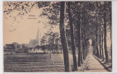 909403 Ak Röbel. Erlen-Allee. 1919