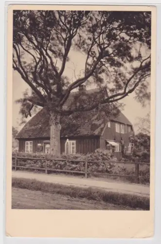 909524 Ak Ostseebad Prerow - Darss, Das Eschenhaus um 1930