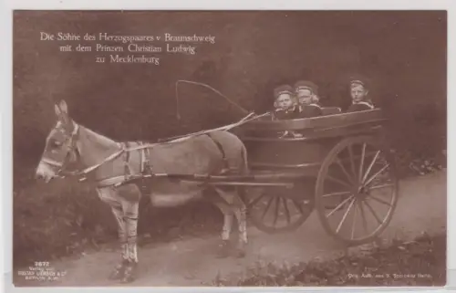 909281 Ak Söhne d. Herzogspaares v. Braunschweig u. Prinz zu Mecklenburg um 1910