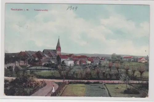 909286  Ak Neukalen i. M. Totalansicht. 1909