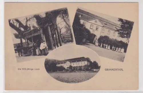 910452 Ak Die 1100-jährige Linde. GRIMMENTHAL. Schloss Grimmenthal. um 1930