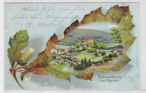 910459 Ak Schwarzburg vom Trippstein. 1901