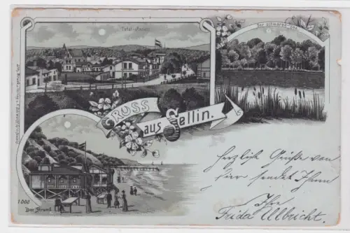 908807 Mehrbild Ak Gruss aus Sellin. 1898