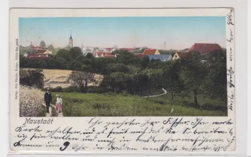 909164 Ak Naustadt - Panoramaansicht 1913