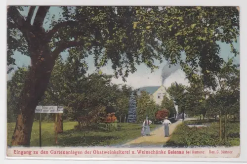 38882 Ak Eingang zur Gartenanlage der Obstweinkelterei u. Weinschänke Gelenau