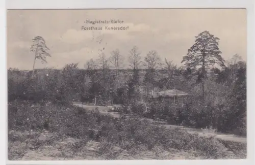 89371 Ak Forsthaus Kunersdorf, Magistrats-Kiefer 1916