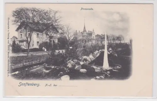 19155 Ak Senftenberg N.-L. Promenade. um 1940