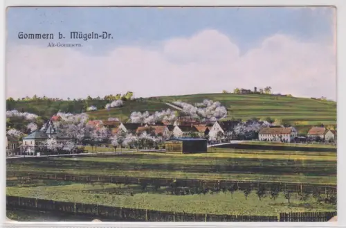 903682 Ak Gommern b. Mügeln-Dr.  Alt-Gommern. 1914