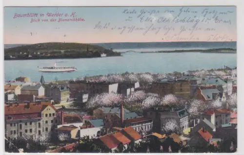 64704 Ak Baumblüte in Werder a. H. Blick von der Bismarckhöhe. 1924