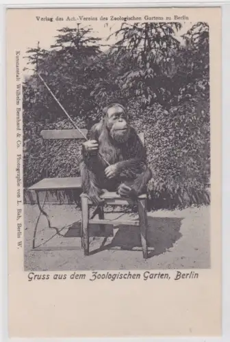 73171 Ak Gruss aus dem Zoologischen Garten, Berlin. um 1940