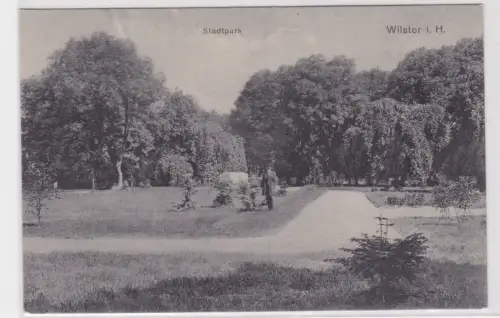 907482  Ak  Wilster i. H. Stadtpark. um 1940