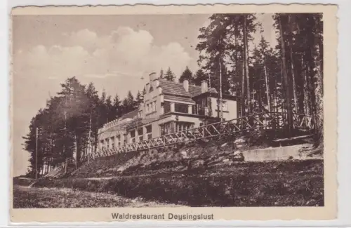 908696 Ak Waldrestaurant Deysingslust, Bad Tabarz im Thüringer Wald. um 1920