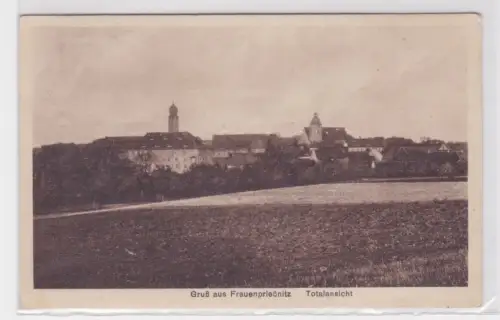908701 Ak Gruß aus Frauenprießnitz. Totalansicht. 1931