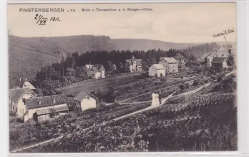 908708 Ak FINSTERBERGEN I. TH. Blick v. Tempelchen a. d. Steiger-Villen. 1911
