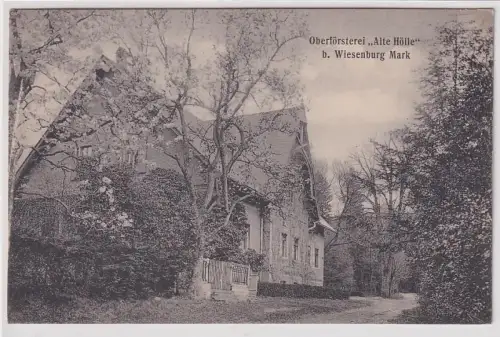 904295 Ak Oberförsterei "Alte Hölle" bei Wiesenburg Mark um 1920