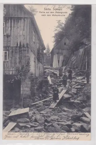 909255AK Sächsische SchweizPartie aus dem Amselgrunde nach dem Wolkenbruche.1906