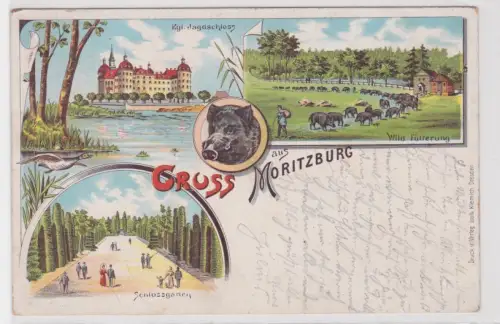 909259 Mehrbild AK Gruss aus Moritzburg. 1899