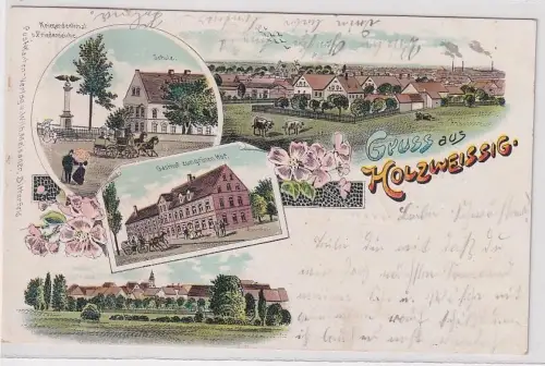 10223 Ak Lithographie Gruß aus Holzweißig Gasthof, Schule usw. 1906