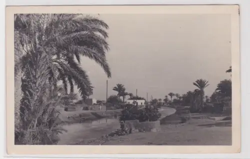 39864 Ak Ägypten Gruß aus dem Gefangenenlager 15.7.1947