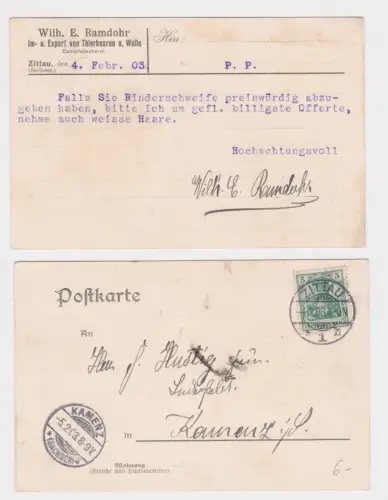 909669 Reklame Ak Zittau Dampfwäscherei Wilh.E.Ramdohr 1903
