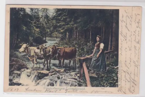 909409 Ak Finsterbergen Leimagrund 1902