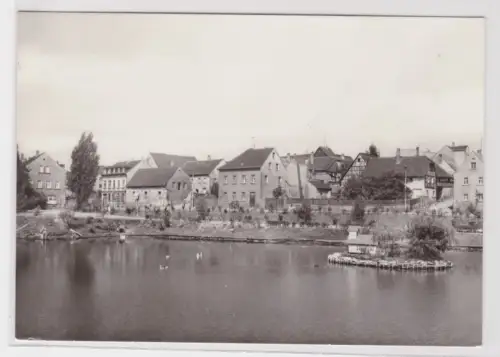 906867 AK Ronneburg (Thüringen) - Teich in Richtung Paitzdorf 1976