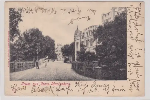 910075 AK Gruss aus Gross-Wartenberg (Syców) - Straßenansicht 1906