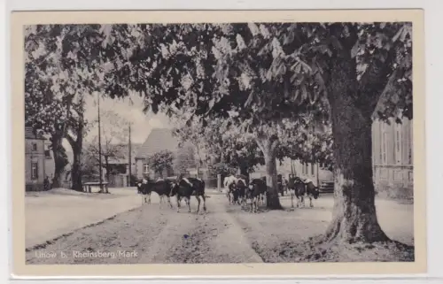 910738 AK Linow bei Rheinsberg Mark - Dorfansicht mit Kuhherde 1959