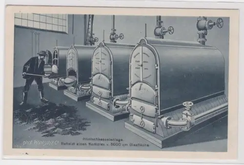 44296 Ak Dresden Niedersedlitz Firma Höntsch & Co. Gewächshausbau um 1930