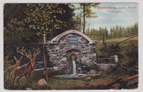909971 AK Masserberg Thüringer Wald - Werraquelle mit Rehen 1911