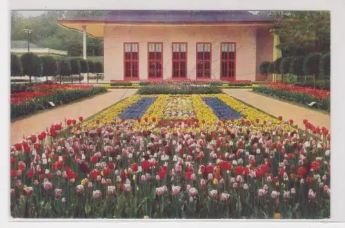 909782 Ak Jubiläums-Gartenbau-Ausstellung Dresden 1926 Schmuckanlage