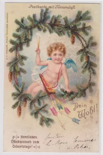 62751 AK Herzlichen Glückwunsch zum Geburtstage! Postkarte mit Tannenduft 1903