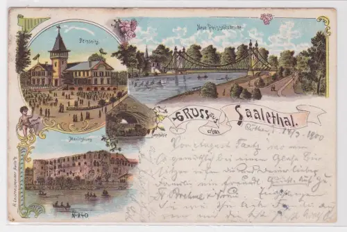 65847 Mehrbild Ak Gruß aus dem Saalethal. Halle a.S 14.03.1900