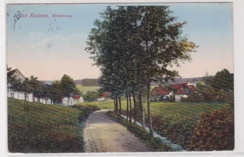 62955 Ak Bad Kudowa Schlesien Kudowa-Zdrój  Wiesenweg 1914