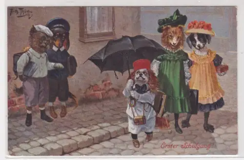 909339 Arthur Thiele Künstler Ak vermenschlichte Hunde "Erster Schulgang" um1910