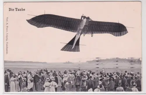 908995 Ak Militär Flugzeug "Die Taube" Etrich Taube 1916