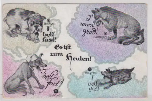 909201 Feldpost AK Es ist zum heulen! Belfast, Iwangorod, Belgrad, Belfort 1915