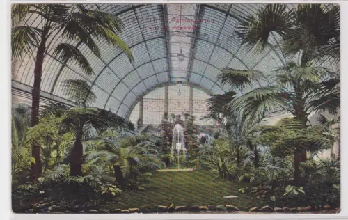 910224 AK Leipzig - Palmengarten, Inneres der Palmenhalle 1908