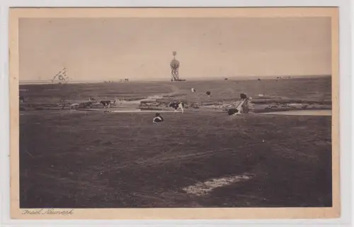 910489 Ak Insel Neuwerk. 1929