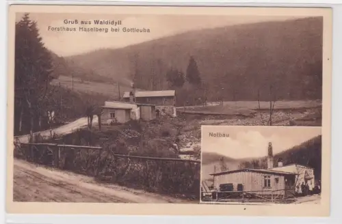 89495 Ak Gruss aus Waldidyll. Forsthaus Haselberg bei Gottleuba. Notbau.um 1930
