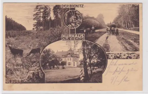 909747 Feldpost Ak Kurhaus am Bienitz in der Nähe von Leipzig. 1917